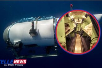 bi4 dolphin incident