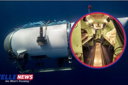 bi4 dolphin incident