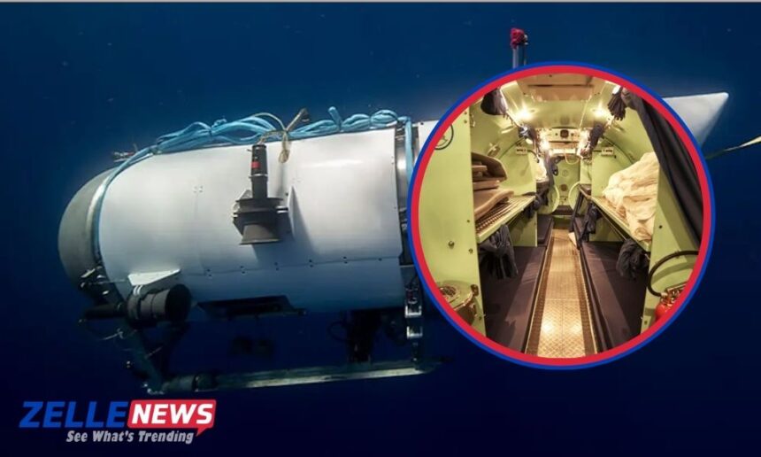 bi4 dolphin incident